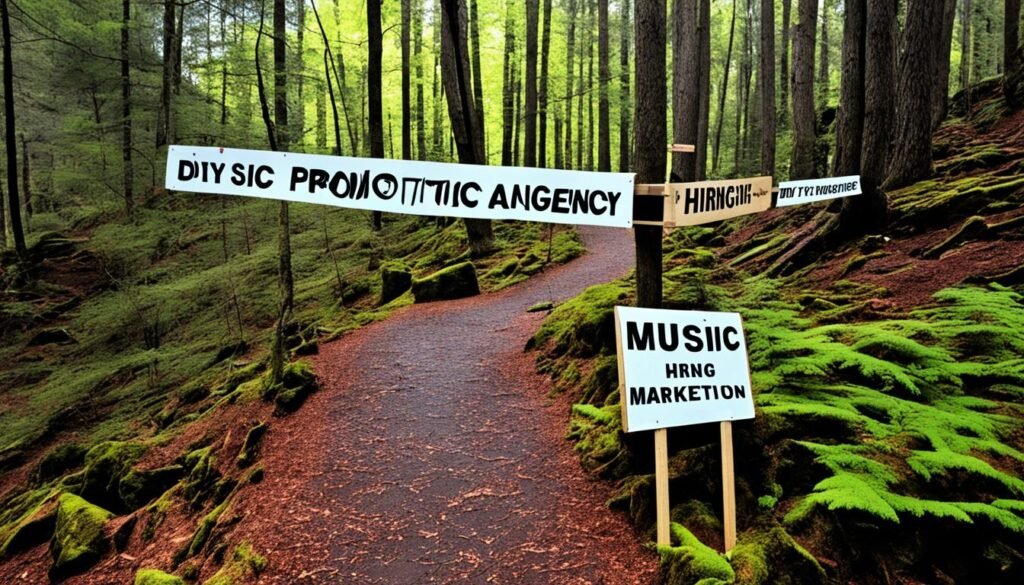 DIY music promotion vs hiring music marketing agency